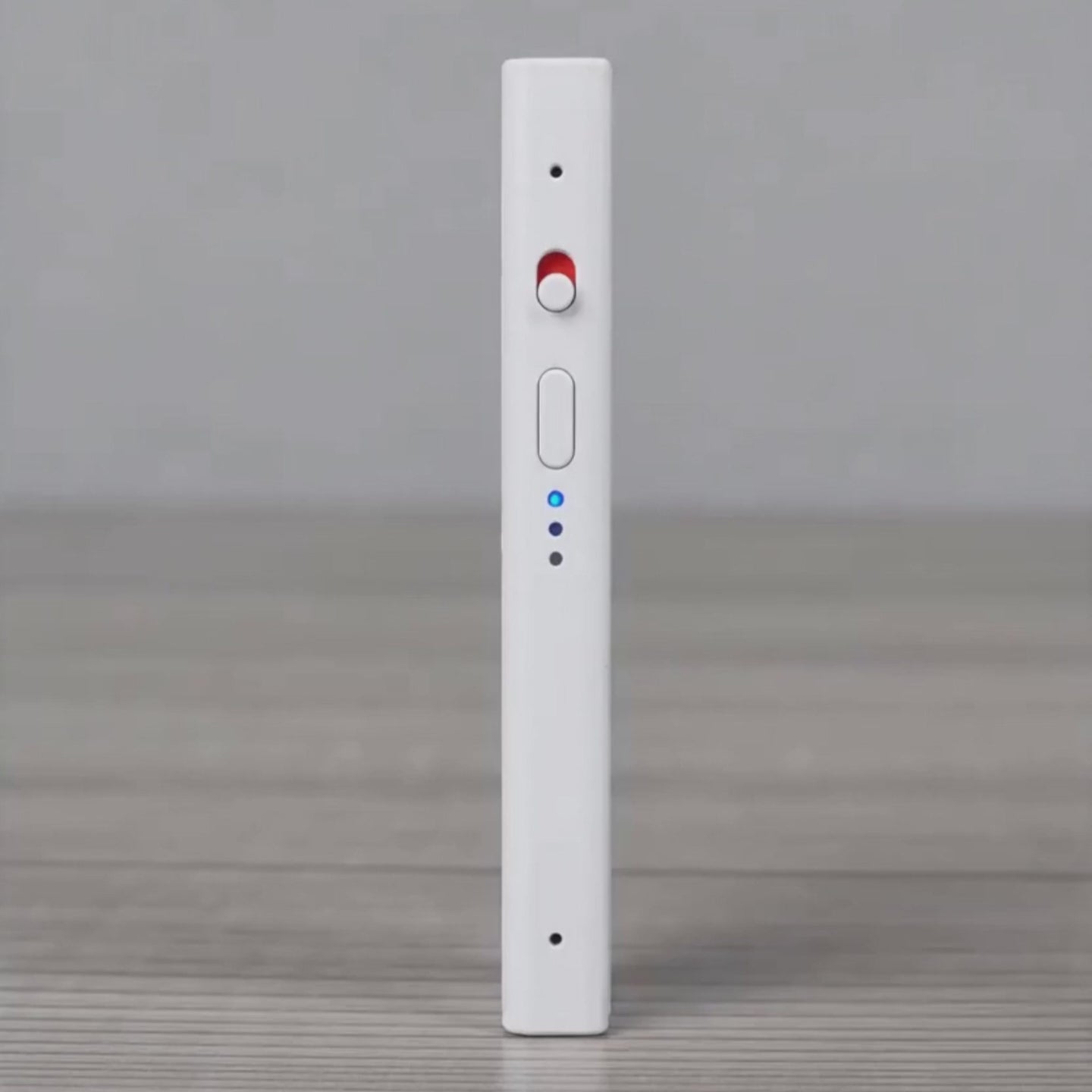 Echo recording demo showing conversation capture