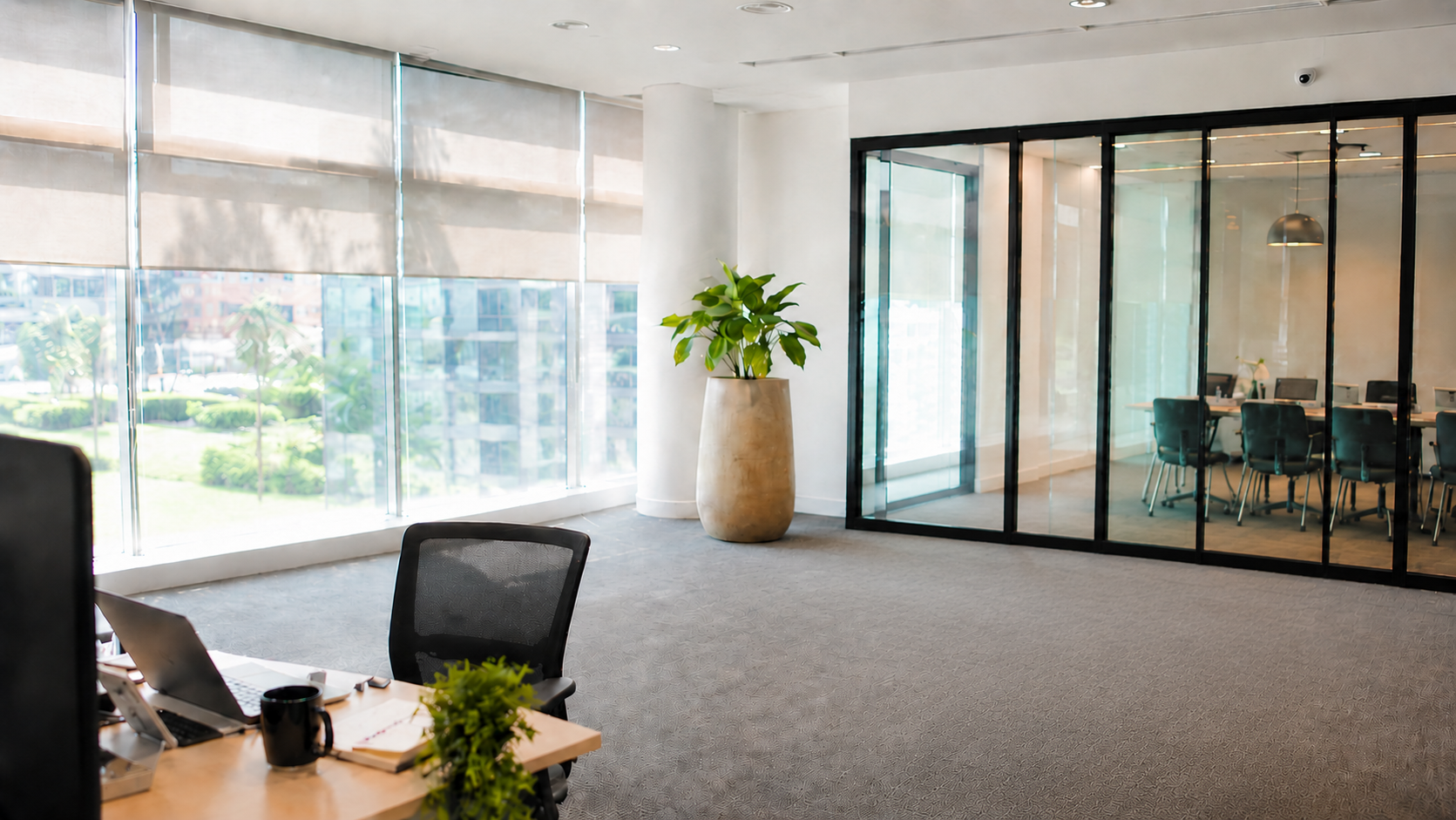 Whale Echo About Us page showing professionals office